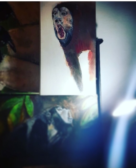 Mono Rojo